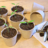 Lot de 80 godets ronds pour semis 100% cellulose biodégradables - Ø6 cm H.5cm