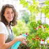 Lot de 2 tuteurs pour tomates ou plantes grimpantes hauteur modulable - Plastique – Hauteur max 76 cm 