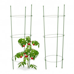 Lot de 2 tuteurs pour tomates ou plantes grimpantes hauteur modulable - Plastique – Hauteur max 76 cm 