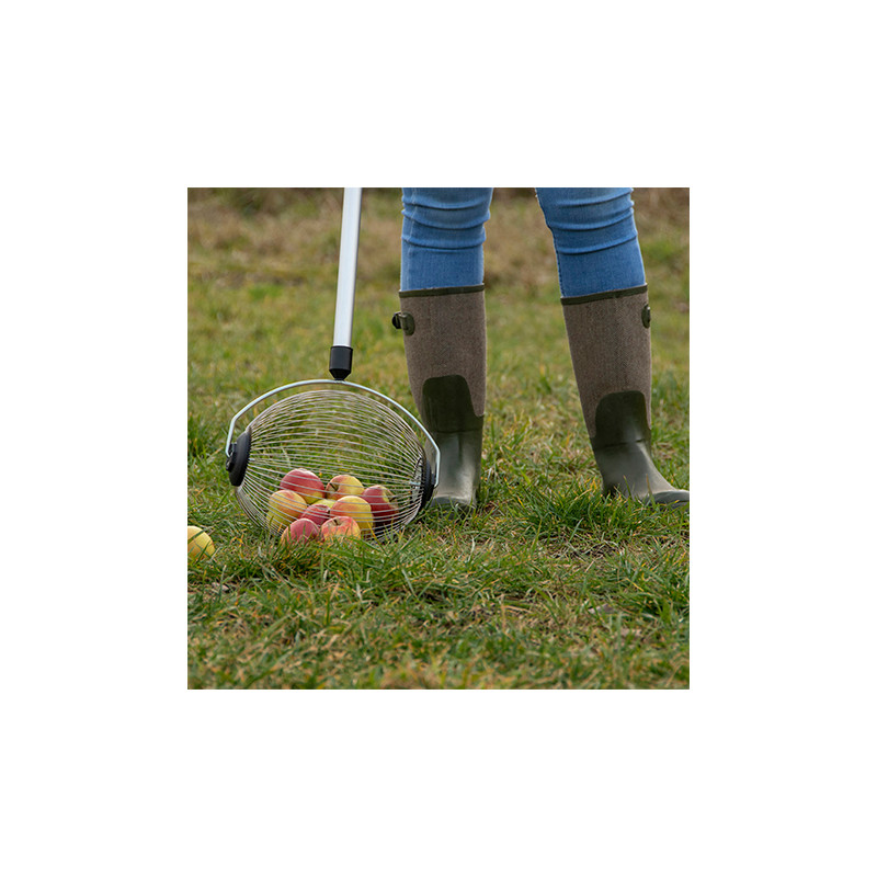 Rouleau Ramasse Noix, Collecteur De Fruits Et Pacanes, Récolteuse De