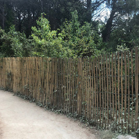 Ganivelle sciée en châtaignier – Hauteur 1.5m - Espacement 4/5 cm - Longueur 5 m