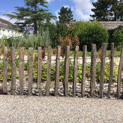 Ganivelle sciée en châtaigner – Espacement 6/7 cm – H. 1,5 m x L. 5 m
