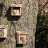 Abri pour papillons en bois d’Aulne 100% FSC – 15,9 x 16 x 21,1 cm