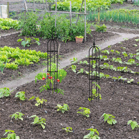 Lot de 2 treillis de jardin obélisque pour plantes grimpantes en acier – Ø15 x H.100 cm
