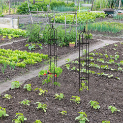 Lot de 2 treillis de jardin obélisque pour plantes grimpantes en acier – Ø20 x H.130 cm