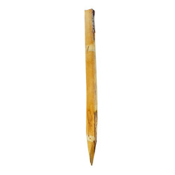 Piquet de clôture scié en châtaigner – Circonférence 28/32 cm – H. 1,5 à 2 m