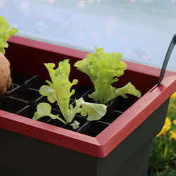 Jardinière Calipso en polypropylène combi 40L gris et cerise – 81 x 39 x 100 cm