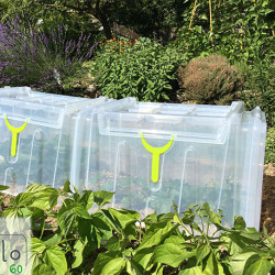 Lot de 3 mini serres tunnel de forçage Modul’o 79 x 59 x 50 cm – 1 jeu de 2 embouts - 1 Lot de 10 piquets d’ancrage