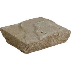 Pavé pierre naturelle grès brut kandla multicolor 14 x 14 x 3/5 cm