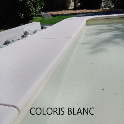 Margelle de piscine en pierre reconstituée plate courbe aspect bouchardé couleur ocre   38 x 30 x 2,5 cm