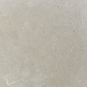 Dalle en pierre naturelle Sinai Pearl Antico 60 x 40 x 2 cm