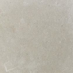 Dalle en pierre naturelle Sinai Pearl Antico 60 x 40 x 2 cm