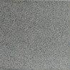 Dalle en pierre naturelle granit flammé G654 60 x 40 x 2 cm