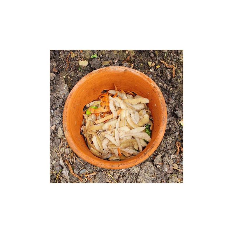 Moutta I WORMcube Vert Design & Compact I Lombricomposteur 3