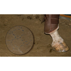 Palette de 5,19 m² de Dalles stabilisatrices équestres 57 x 38 x 4 cm - résistance : 500 tonnes/m²