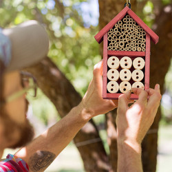 Hôtel à insectes en kit