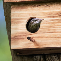 Nichoir à oiseaux pour étourneaux en bois – 35 x 18 x 22 cm 