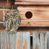 Nichoir à oiseaux pour étourneaux en bois – 35 x 18 x 22 cm 