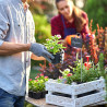 12 écriteaux de jardin en ardoise avec piquets – 10 x 6 x 42,5 cm