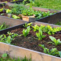 12 écriteaux de jardin en ardoise avec piquets – 10 x 6 x 42,5 cm