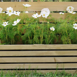 Bordure de jardin en bois à planter  - L.100 x H.26/46 cm - Ep.2,8 cm