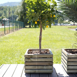 Jardinière en bois carrée avec film de protection PIN - Contenance 30 L - 40 x 40 x 28 cm