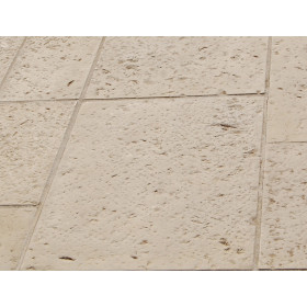 Dalle de terrasse en pierre reconstituée 60 x 40 x 4 cm Camel