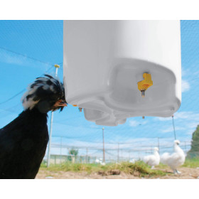 Abreuvoir à tétines à suspendre en plastique pour poules et poussin – 12L – Ø20/33 x H.40 cm