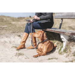 Laisse réglable 3 positions en corde tressée Be Nordic Taille L-XL - L. 2 m – Ø13 mm – Gris foncé / Brun