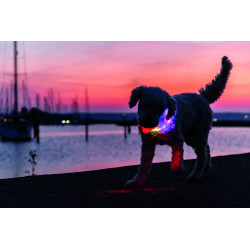 Anneau lumineux Flash USB en silicone taille XS à XL 70 cm Ø10 mm – Rouge