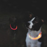 Anneau lumineux Flash USB pour chien en TPU/nylon Ø7 mm –Taille universelle - Orange