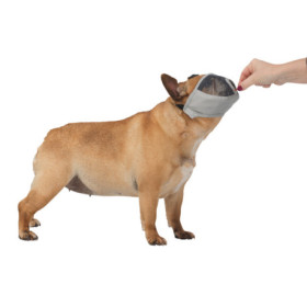 Muselière pour races de chien à museau court en polyester – Taille S court – Gris