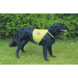 Gilet de sécurité réfléchissant en polyester – Taille S – Encolure 28-42 cm – Jaune Fluo