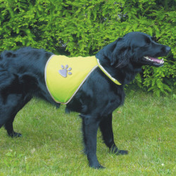 Gilet de sécurité réfléchissant en polyester – Taille XL – Encolure 50-73 cm – Jaune Fluo