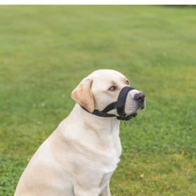 Muselière sangle en nylon avec doublure en néoprène – Taille M-L Tour de museau 22-30 cm – Noir