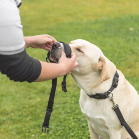Muselière sangle en nylon avec doublure en néoprène – Taille XL-XXL Tour de museau 28-38 cm – Noir