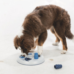 Jouet d’intelligence Dog Activity Flip board en plastique pour chien – Niveau 2 – Ø23 cm
