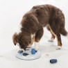 Jouet d’intelligence Dog Activity Flip board en plastique pour chien – Niveau 2 – Ø23 cm
