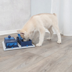 Jouet d’intelligence Dog Activity Poker Box en plastique pour chien – Niveau 2 – 31 x 31 cm