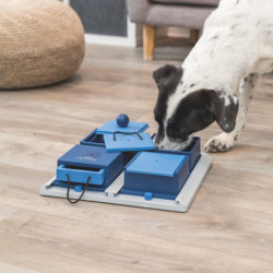 Jouet d’intelligence Dog Activity Poker Box en plastique pour chien – Niveau 2 – 31 x 31 cm