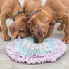 Jouet Tapis à renifler en polyester – Niveau 1 pour chien, chiots et chat – Ø38 cm