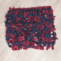 Jouet Tapis à renifler en polyester pour Chien et Chat– Niveau 1 – 50 x 34 cm