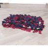 Jouet Tapis à renifler en polyester pour Chien et Chat– Niveau 1 – 50 x 34 cm