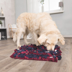 Jouet Tapis à renifler en polyester pour Chien et Chat– Niveau 1 – 50 x 34 cm