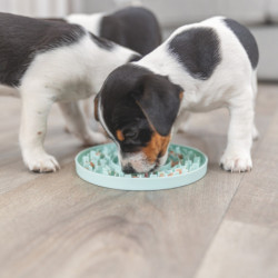 Assiette à lécher Trixie Junior Lick’n Snack en caoutchouc pour chien – Ø15 cm - Menthe