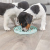 Assiette à lécher Trixie Junior Lick’n Snack en caoutchouc pour chien – Ø15 cm - Menthe