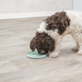 Assiette à lécher Trixie Junior Lick’n Snack en caoutchouc – Ø21 cm - Menthe