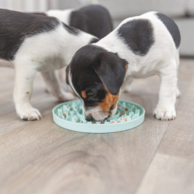 Assiette à lécher Trixie Junior Lick’n Snack en caoutchouc – Ø21 cm - Menthe