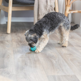 Jouet Denta Fun balle Trixie goût menthe en caoutchouc naturel pour chien – Ø5 cm – Bleu