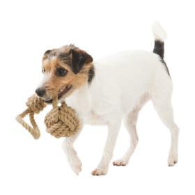 Jouet Balle tressée sur corde Be Nordic en coton/polyester pour chien– Ø7 x 20 cm - marron